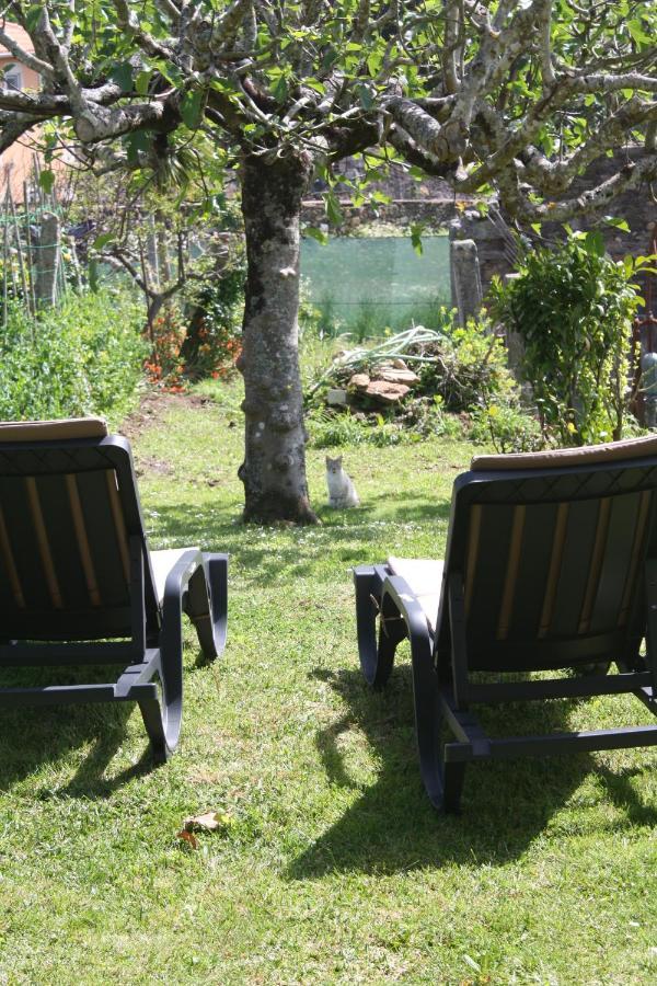 Loft Caminha Διαμέρισμα Εξωτερικό φωτογραφία